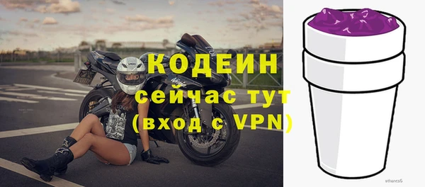 шишки Верея
