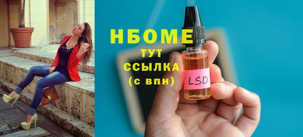 шишки Верея