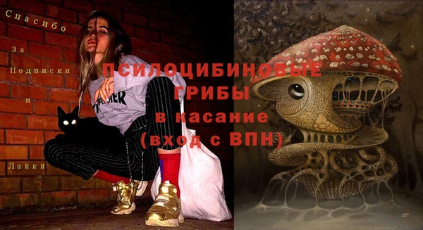 мдпв Волосово