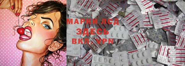 шишки Верея