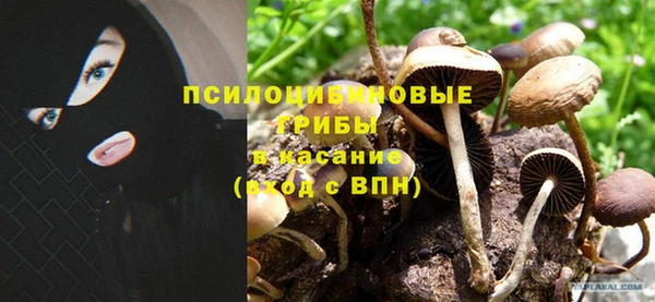 шишки Верхнеуральск