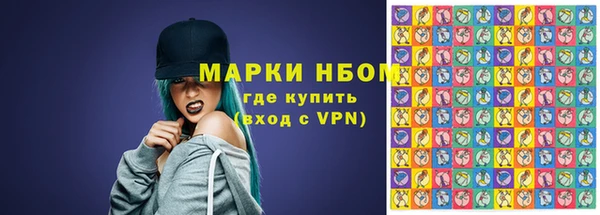 шишки Верея
