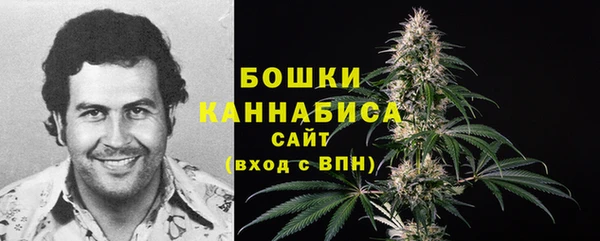 шишки Верхнеуральск